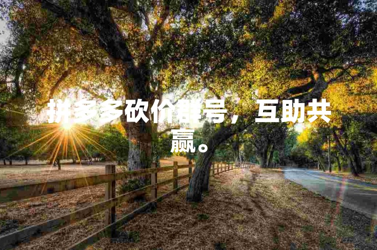 拼多多砍价群号，互助共赢。