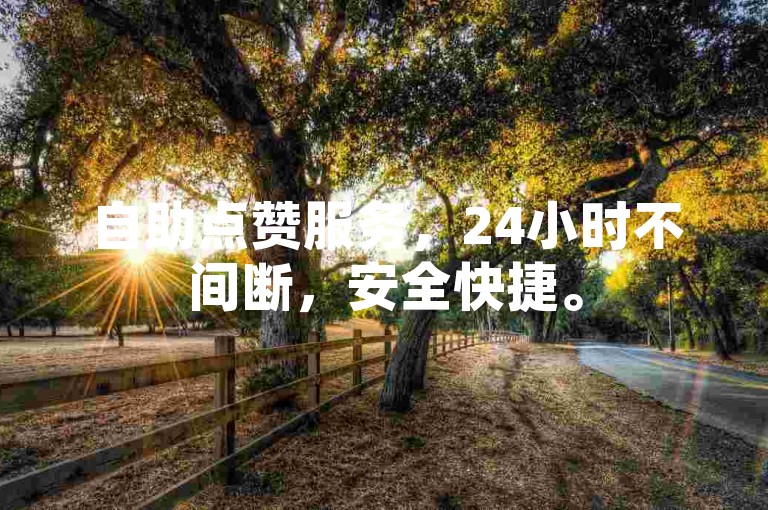 自助点赞服务，24小时不间断，安全快捷。