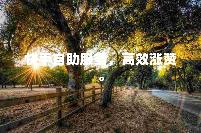 快手自助服务，高效涨赞。