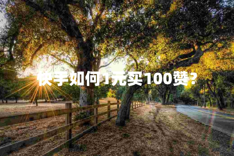 快手如何1元买100赞？