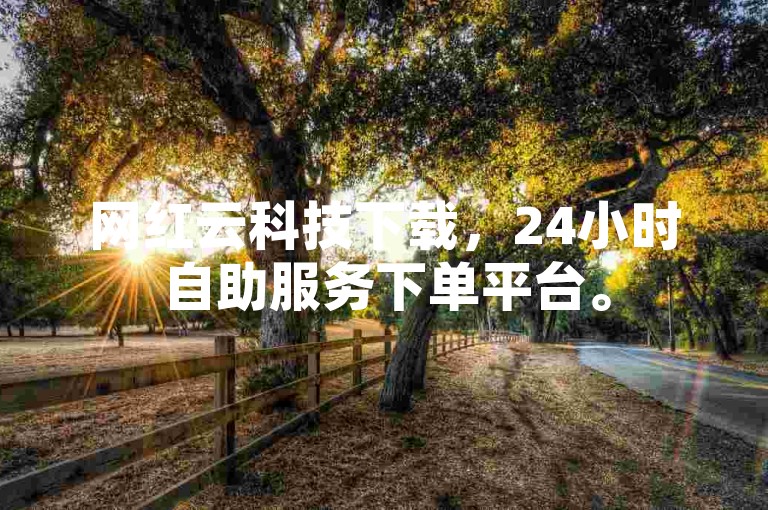 网红云科技下载，24小时自助服务下单平台。