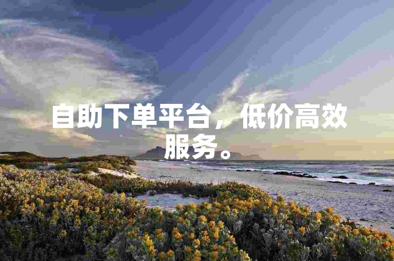 自助下单平台，低价高效服务。