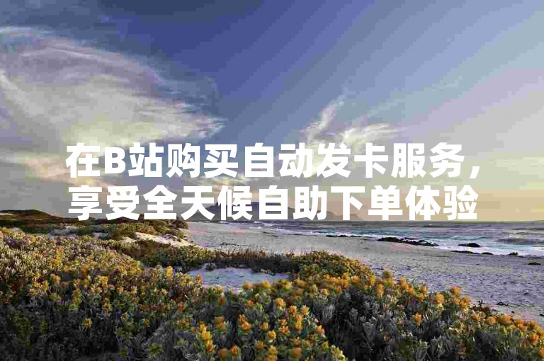 在B站购买自动发卡服务，享受全天候自助下单体验。