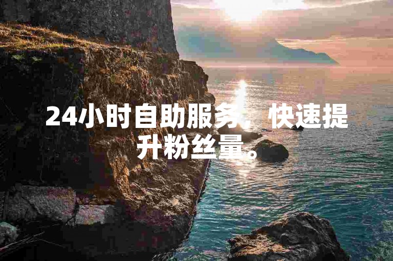 24小时自助服务，快速提升粉丝量。