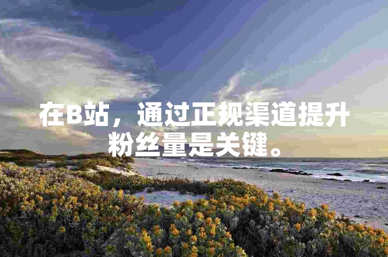 在B站，通过正规渠道提升粉丝量是关键。