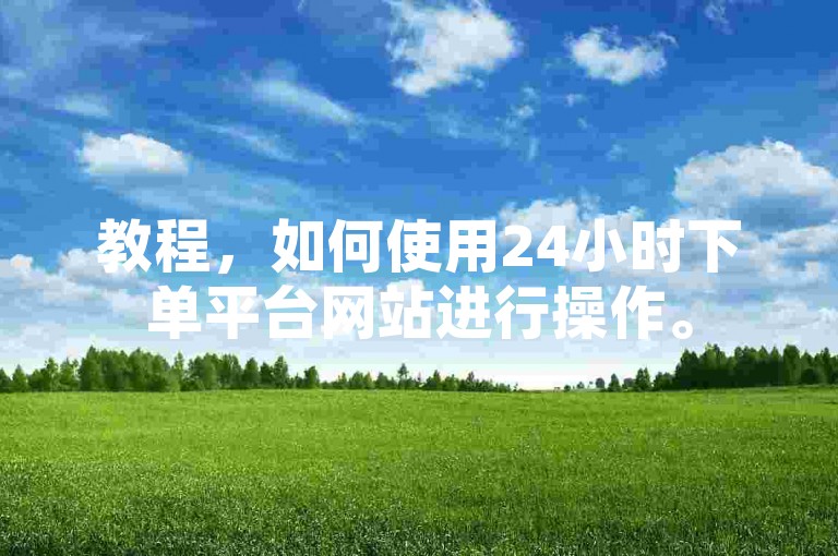 教程，如何使用24小时下单平台网站进行操作。