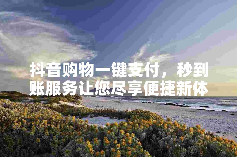 抖音购物一键支付，秒到账服务让您尽享便捷新体验。