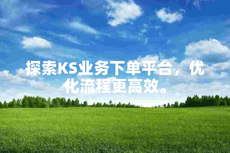 探索KS业务下单平台，优化流程更高效。