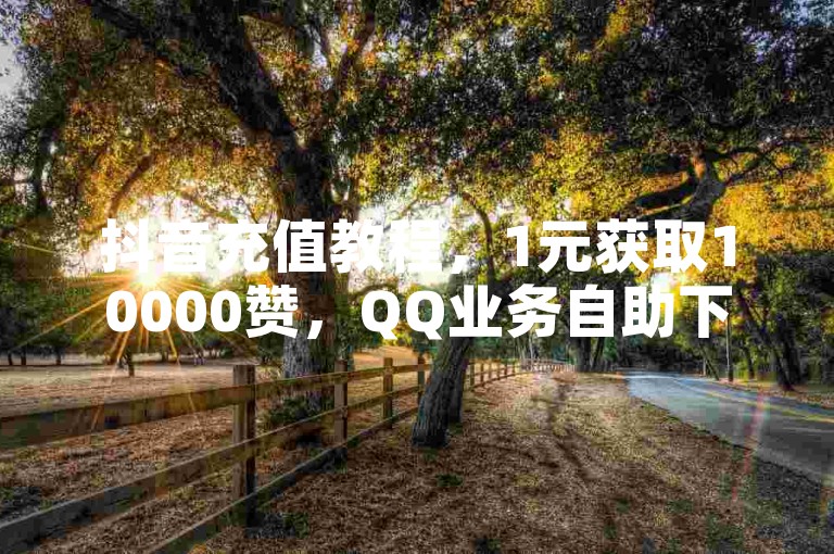 抖音充值教程，1元获取10000赞，QQ业务自助下单。