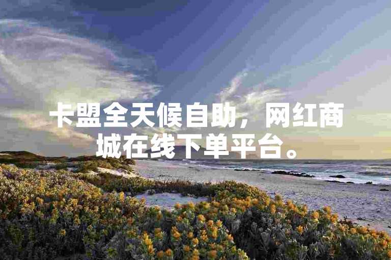 卡盟全天候自助，网红商城在线下单平台。