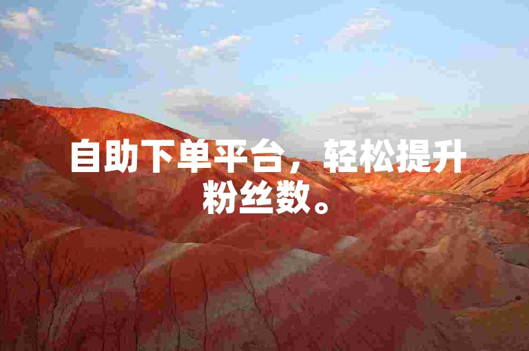 自助下单平台，轻松提升粉丝数。