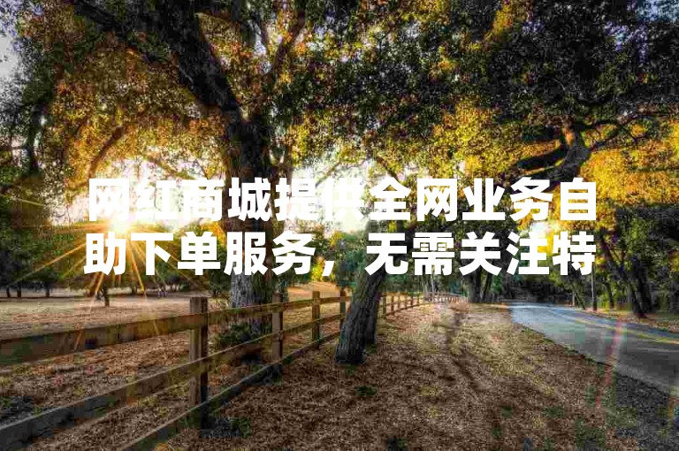 网红商城提供全网业务自助下单服务，无需关注特定平台。