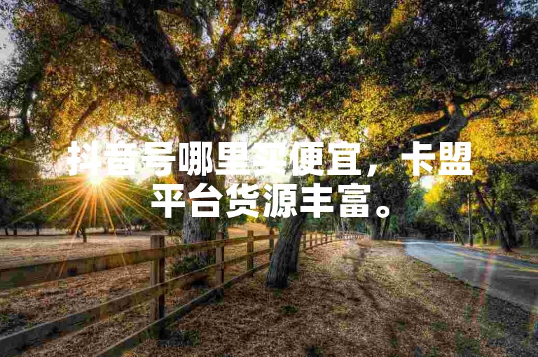 抖音号哪里买便宜，卡盟平台货源丰富。