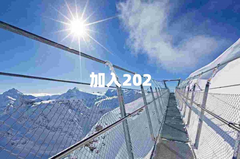 加入2025最新拼多多助力群，获取多多助力软件。