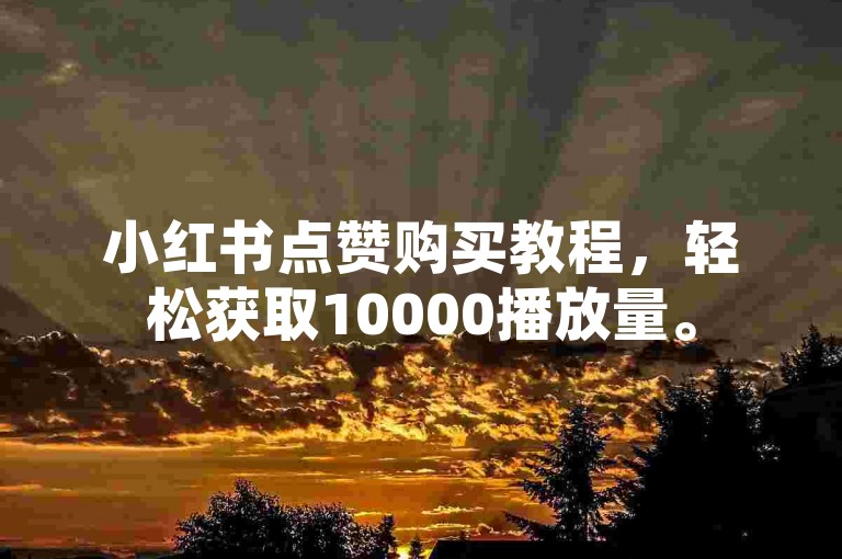 小红书点赞购买教程，轻松获取10000播放量。
