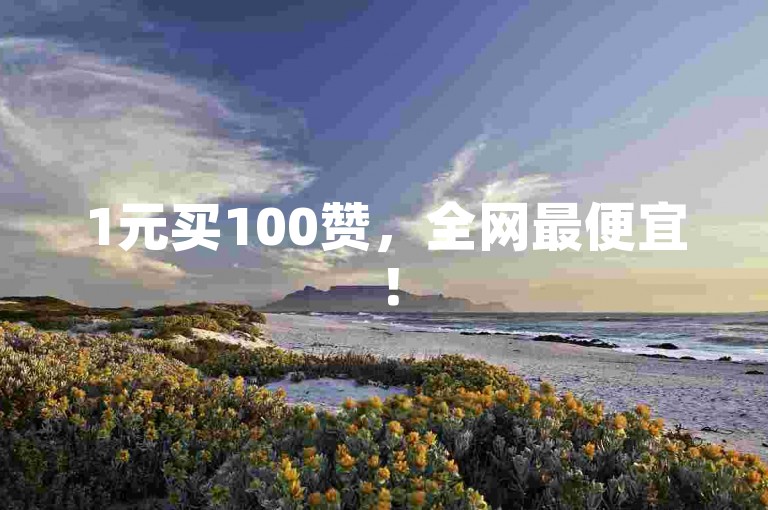 1元买100赞，全网最便宜！