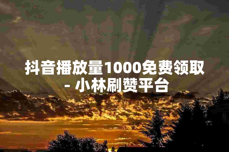 抖音播放量1000免费领取 - 小林刷赞平台