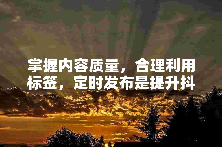 掌握内容质量，合理利用标签，定时发布是提升抖音曝光的关键。