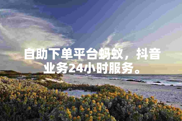 自助下单平台蚂蚁，抖音业务24小时服务。