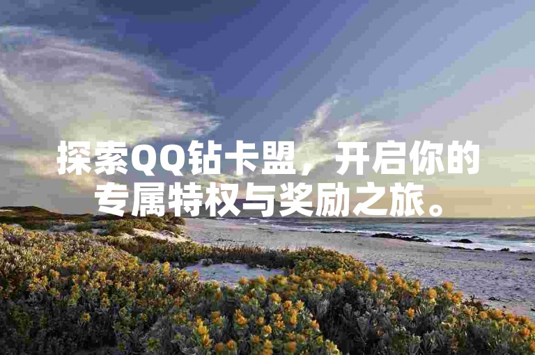 探索QQ钻卡盟，开启你的专属特权与奖励之旅。