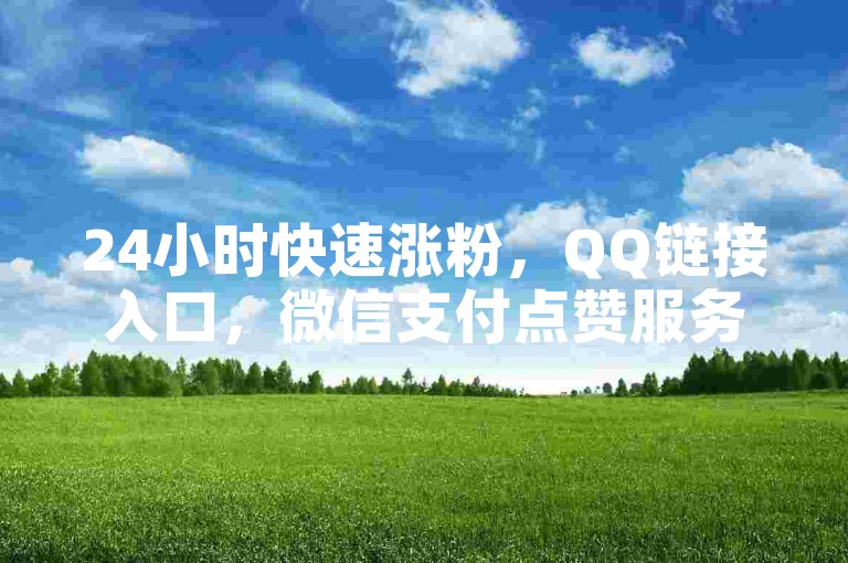 24小时快速涨粉，QQ链接入口，微信支付点赞服务。