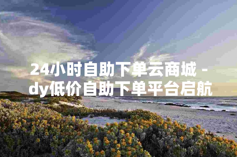 24小时自助下单云商城 - dy低价自助下单平台启航