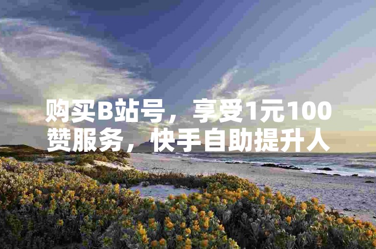 购买B站号，享受1元100赞服务，快手自助提升人气。