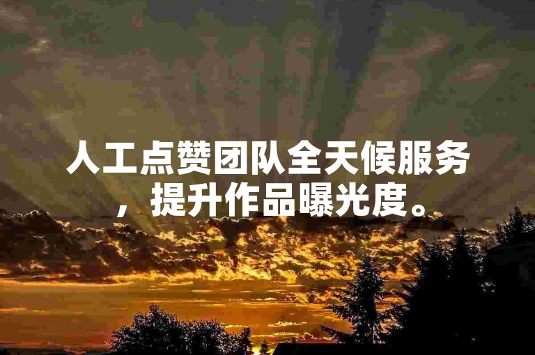 人工点赞团队全天候服务，提升作品曝光度。