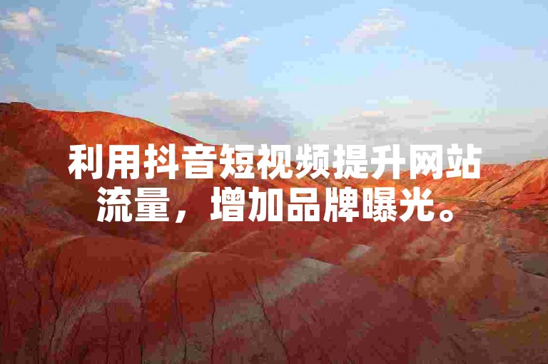 利用抖音短视频提升网站流量，增加品牌曝光。