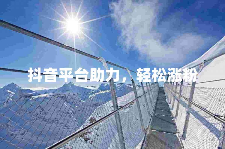 抖音平台助力，轻松涨粉500+。