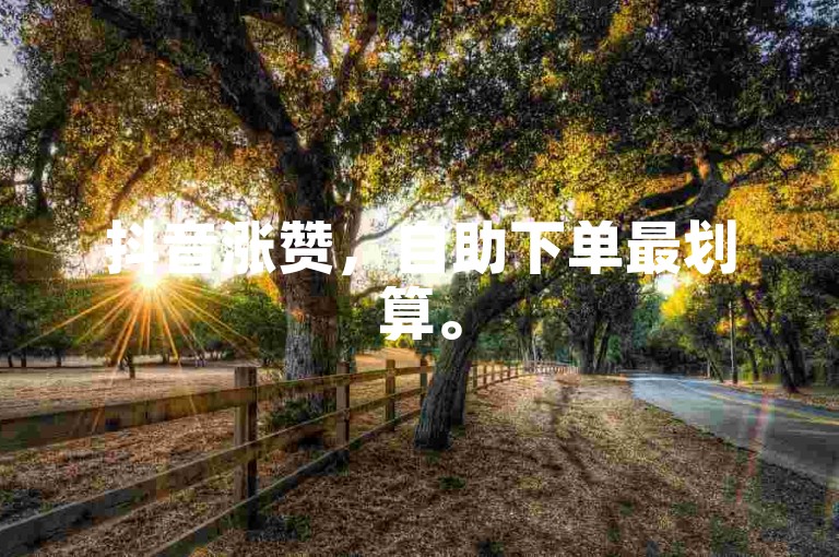 抖音涨赞，自助下单最划算。
