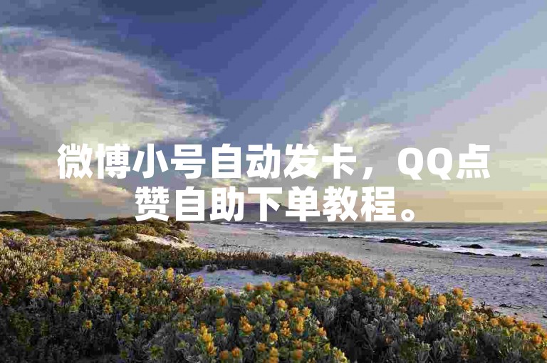 微博小号自动发卡，QQ点赞自助下单教程。