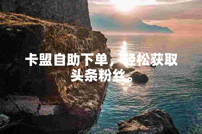 卡盟自助下单，轻松获取头条粉丝。