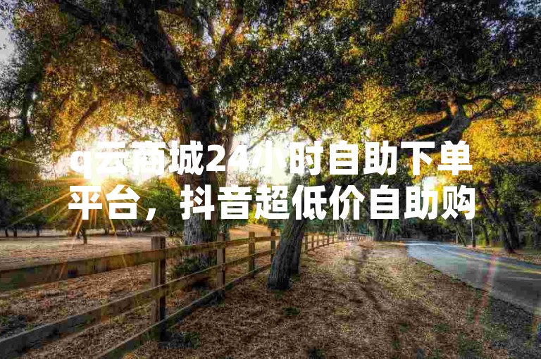 q云商城24小时自助下单平台，抖音超低价自助购物。