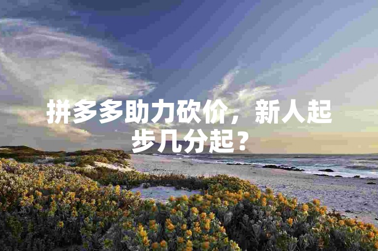 拼多多助力砍价，新人起步几分起？