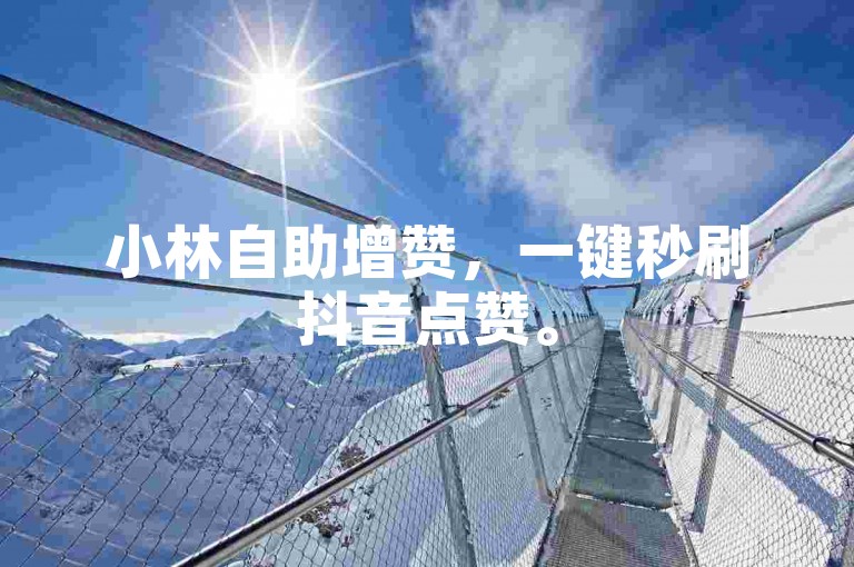 小林自助增赞，一键秒刷抖音点赞。