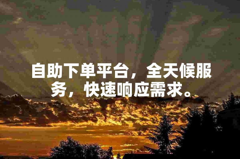 自助下单平台，全天候服务，快速响应需求。