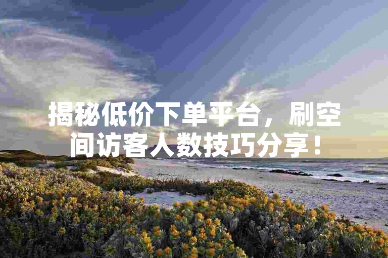 揭秘低价下单平台，刷空间访客人数技巧分享！