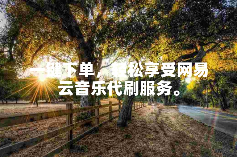 一键下单，轻松享受网易云音乐代刷服务。