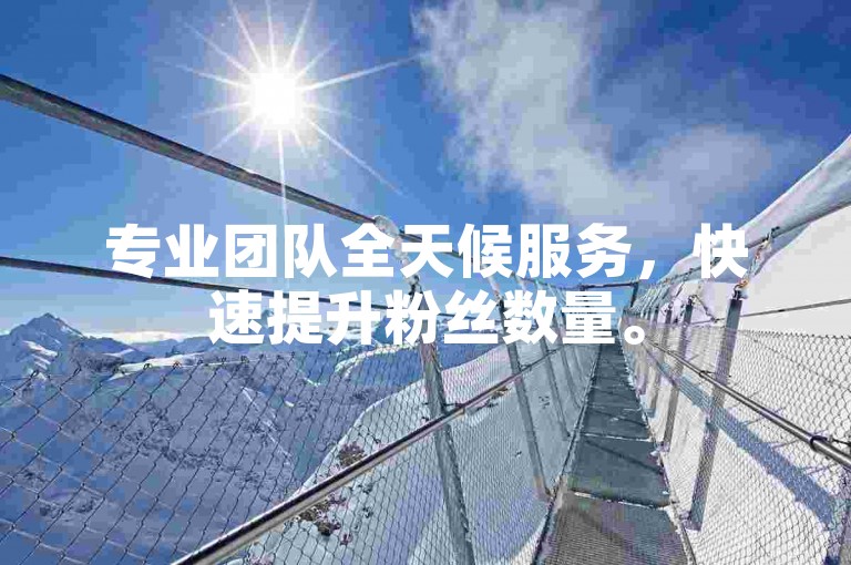 专业团队全天候服务，快速提升粉丝数量。