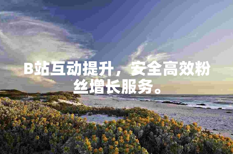 B站互动提升，安全高效粉丝增长服务。