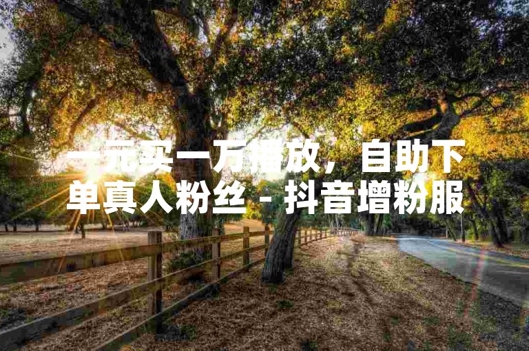 一元买一万播放，自助下单真人粉丝 - 抖音增粉服务。