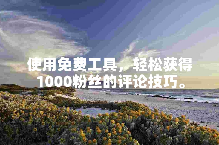 使用免费工具，轻松获得1000粉丝的评论技巧。
