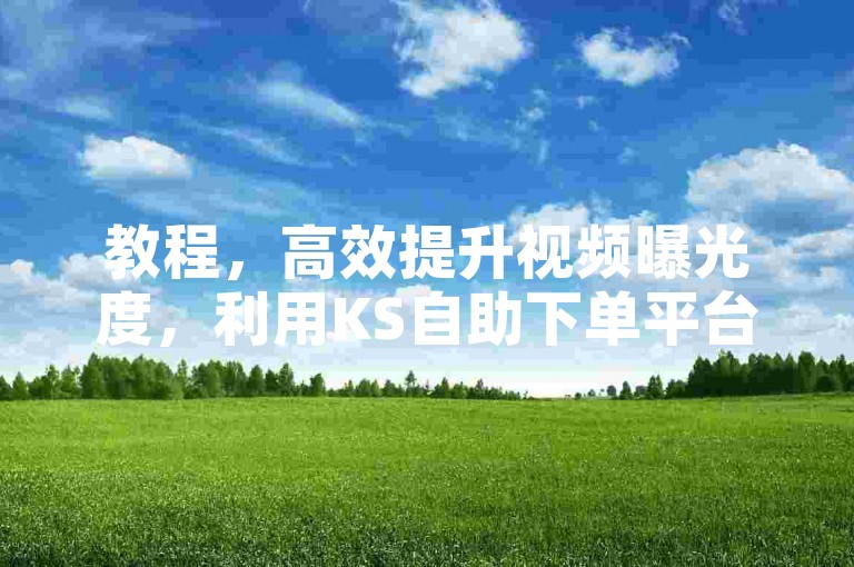 教程，高效提升视频曝光度，利用KS自助下单平台，轻松增加视频的点赞数和浏览量，快速提升账号影响力。
