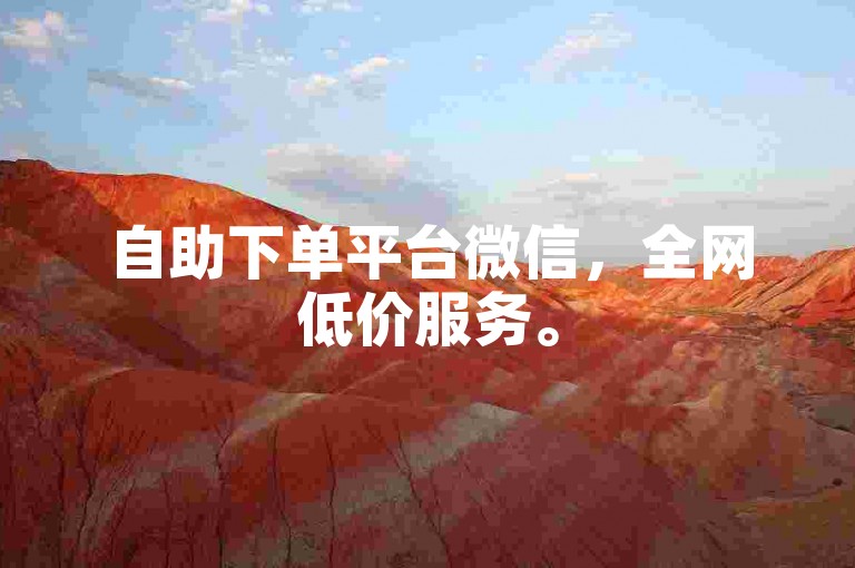 自助下单平台微信，全网低价服务。