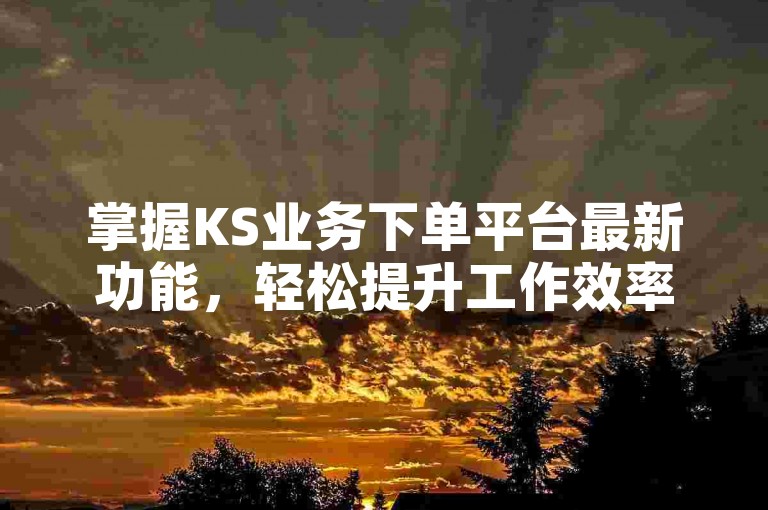 掌握KS业务下单平台最新功能，轻松提升工作效率。