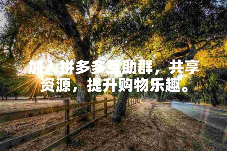 加入拼多多互助群，共享资源，提升购物乐趣。