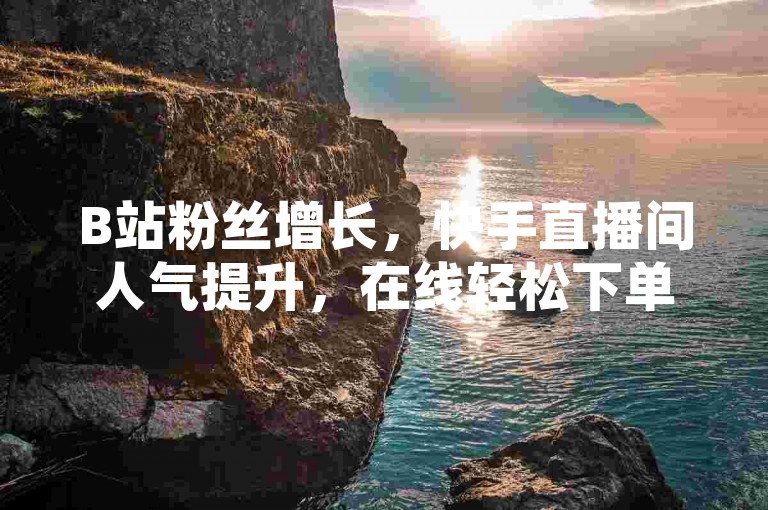 B站粉丝增长，快手直播间人气提升，在线轻松下单。