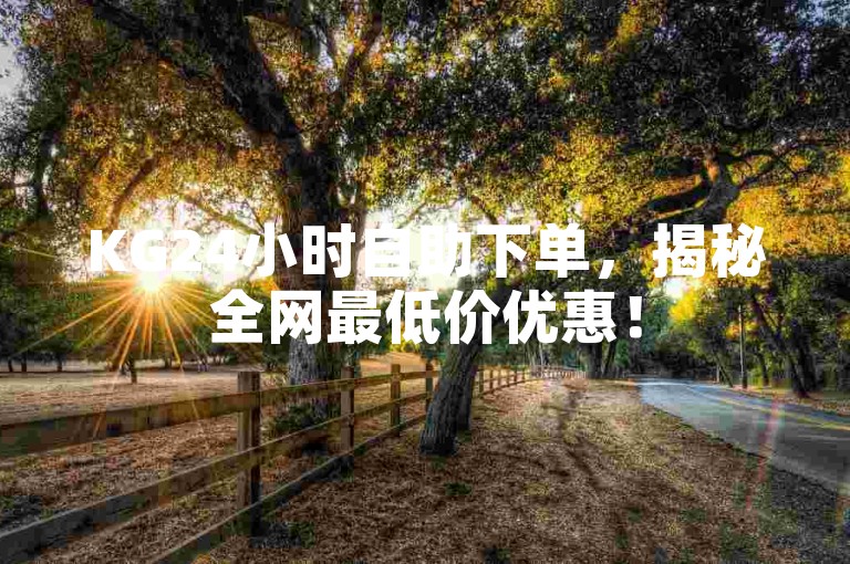 KG24小时自助下单，揭秘全网最低价优惠！