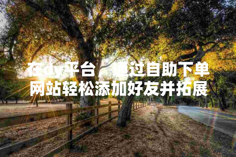 在dy平台，通过自助下单网站轻松添加好友并拓展业务。